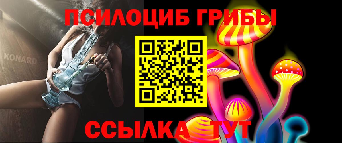 Псилоцибиновые грибы GOLDEN TEACHER Дербент