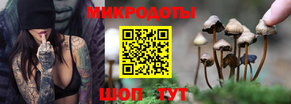 Псилоцибиновые грибы GOLDEN TEACHER  Вход с VPN  Дербент  Галлюциногенные грибы Psilocybine cubensis 
